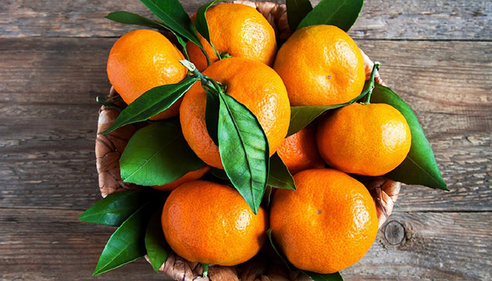What's special about Ly Nhan tangerine - Ha Nam?
